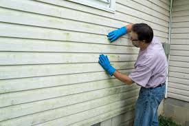 Professional Siding Installation & Repair in Wildomar, CA